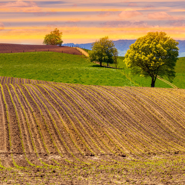 "Way towards Bay of Plenty NZ" stock image