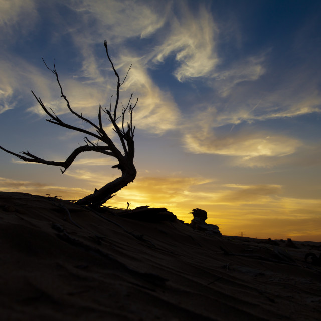 "Sunset in the desert" stock image