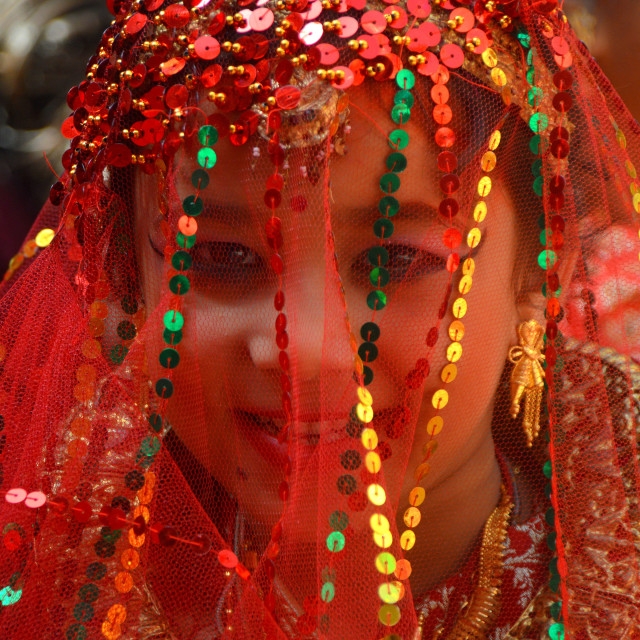 "Wood Apple Bride" stock image