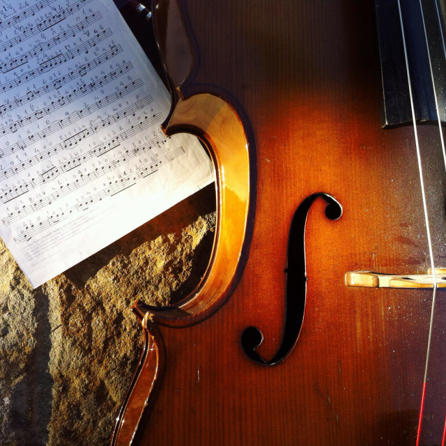 "Cello" stock image