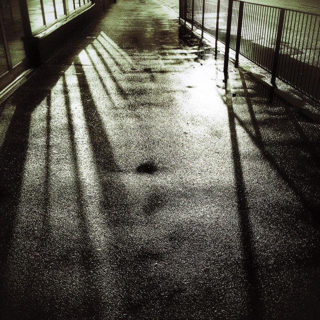 "Shadowy pavement" stock image