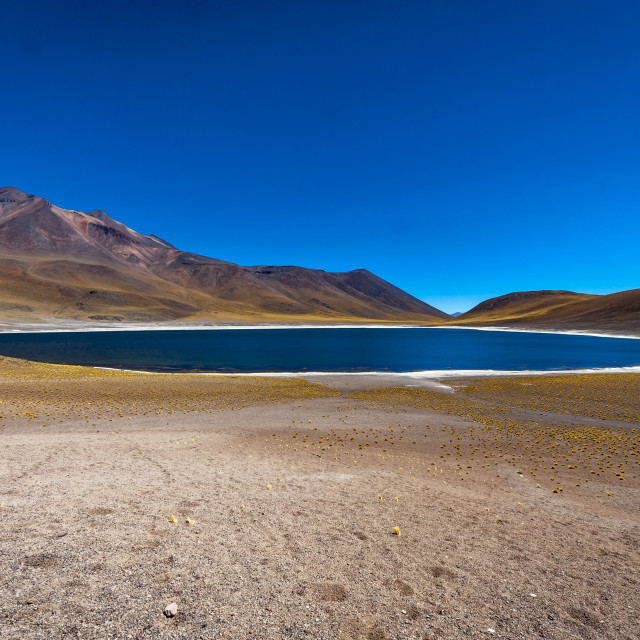 Miniques Lagoon in Chile , South America - License, download or print ...