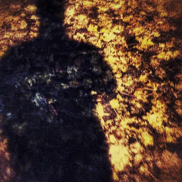 "Shadowy figure cast across fallen leaves" stock image