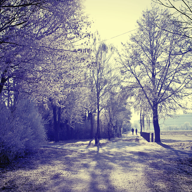 "Cold weather in winter light, Bavarian countryside" stock image