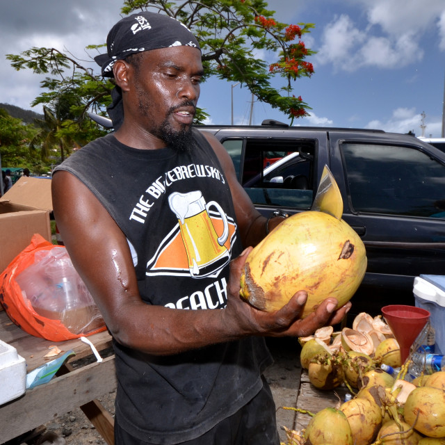"Caribbean Coconut Seller" stock image