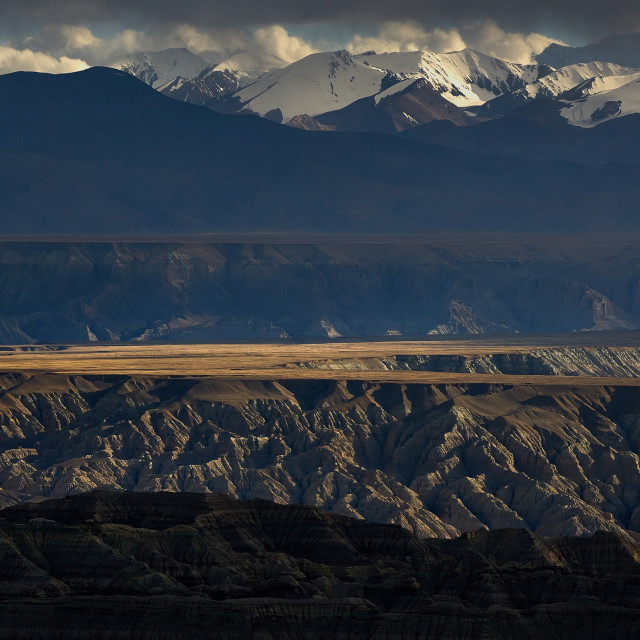 "Tibet plateau, soil forest, Tibet Ali County" stock image