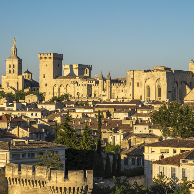 "Aerial view of Palais des Papes, UNESCO World Heritage Site, and" stock image