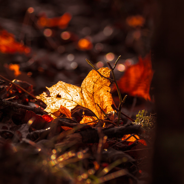"Ray of light" stock image