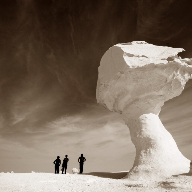"Silhouettes of the White Desert" stock image