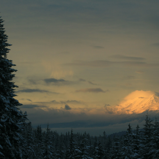 "Mt. Adams" stock image