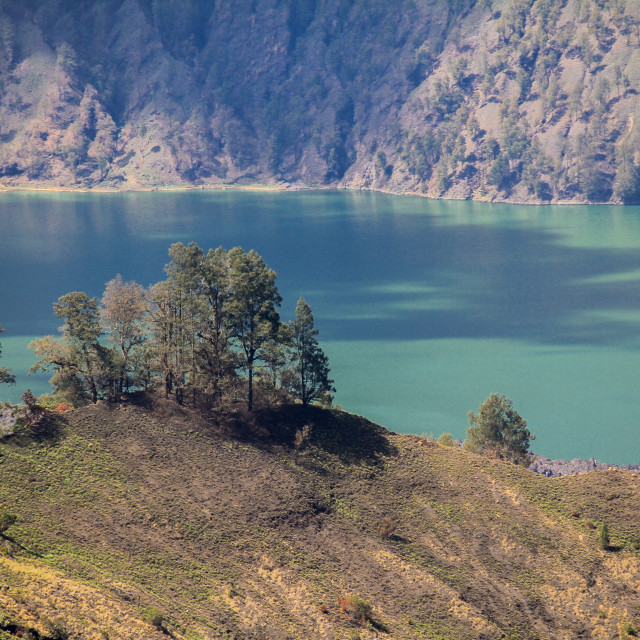 "Segara Anak Lake" stock image