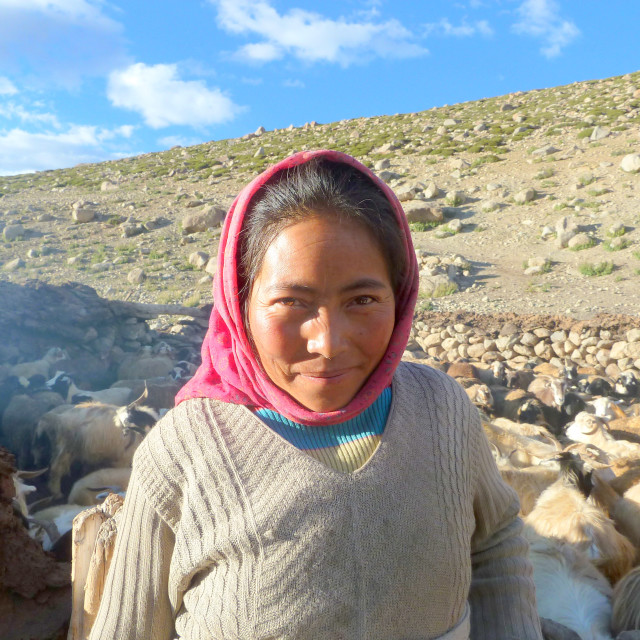 "Shepherdess" by Keith MacIntosh FRGS - $12.22 "Shepherdess" stock image