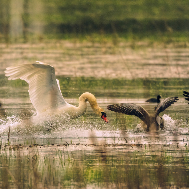 "Hard Landing" stock image