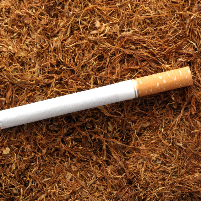 "smoking issues, tobacco and nicotine addiction , health theme" stock image