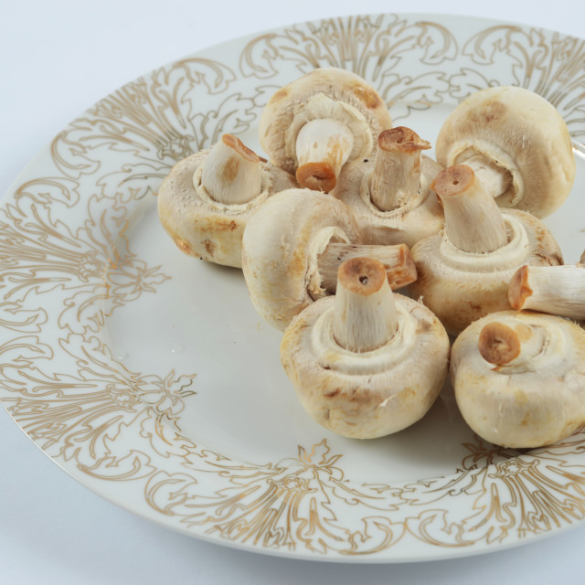 "Mushrooms on a plate" stock image