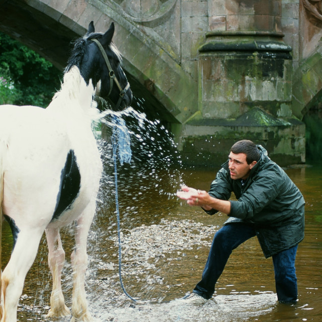 "Gypsey man washing a horse in the River Eden at the Appleby horse Fair..." stock image