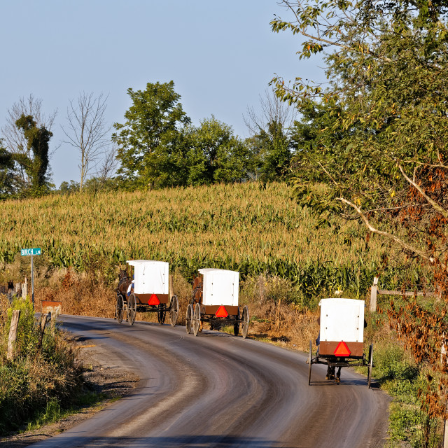 "Amish Carriages in Rural Pennsylvania" stock image
