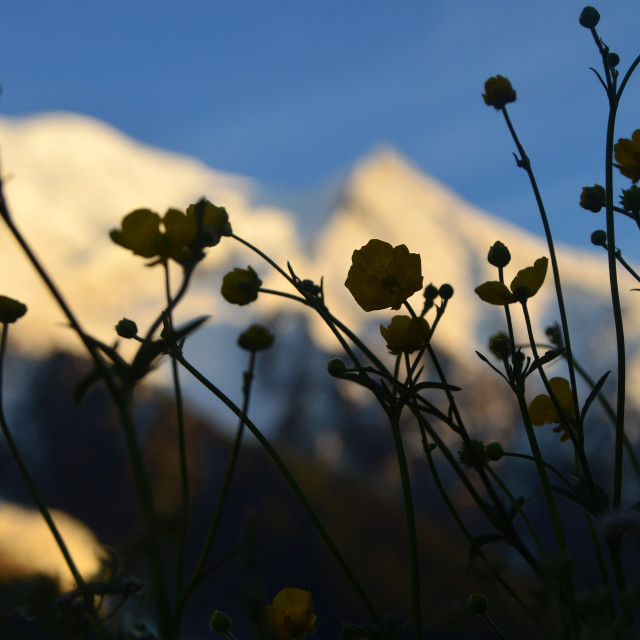 "Life beneath the Mountain" stock image