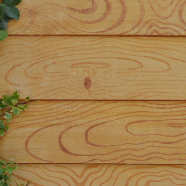 "backgrounds, wood - material, Wood Grain, pattern" stock image