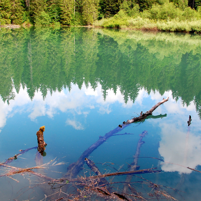 "Wood Sky Water" stock image