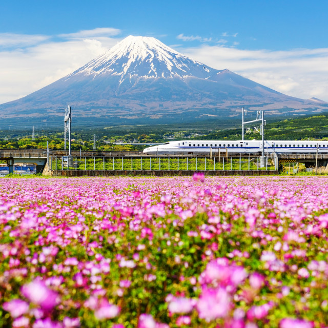 "Shinkanzen run pass Mt. Fuji" stock image