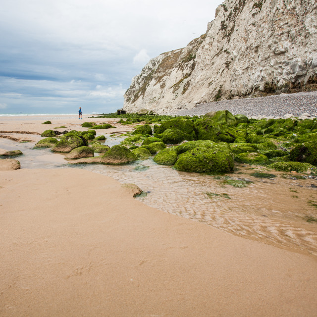 "Low tide" stock image