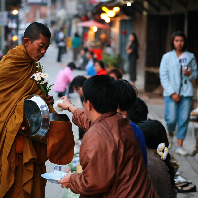 "people offer food and flower to monk" stock image
