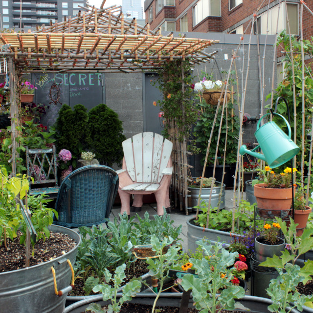 Pike Place Market Rooftop Garden License, download or print for £6.20