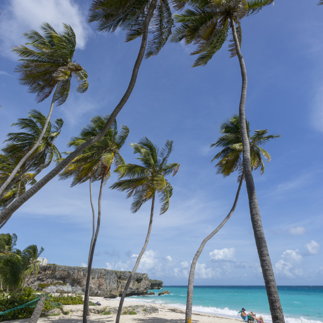 "Bottom Bay, St. Philip, Barbados, West Indies, Caribbean, Central America" stock image