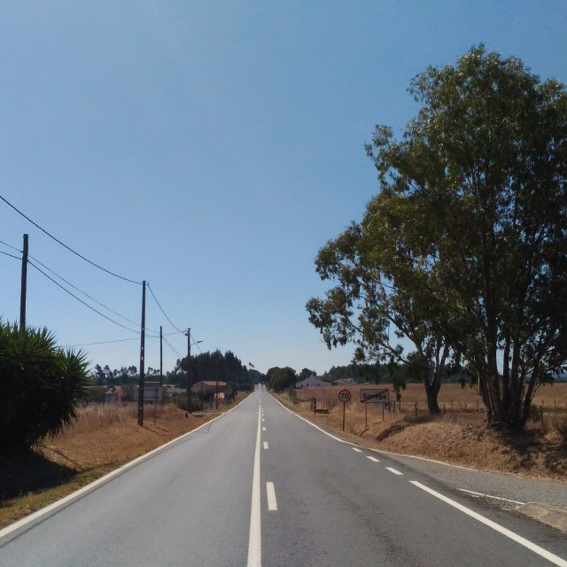 "Road view on country side with trees" stock image