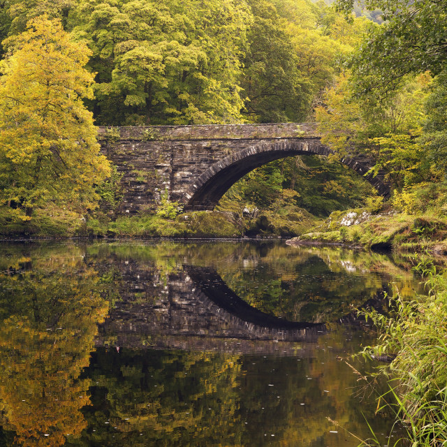 "Bridge over River Conwy in autumn, near Betwys-y-Coed, Wales, UK, GB, Europe" stock image