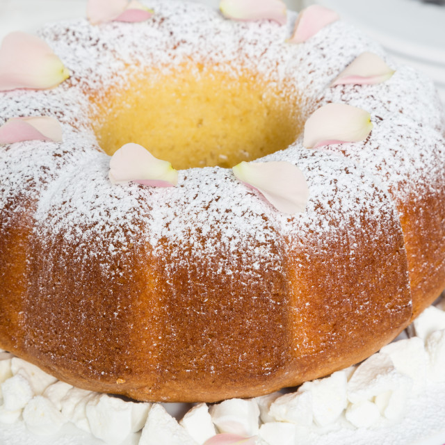 "Gugelhupf cake with powdered sugar and blossom" stock image