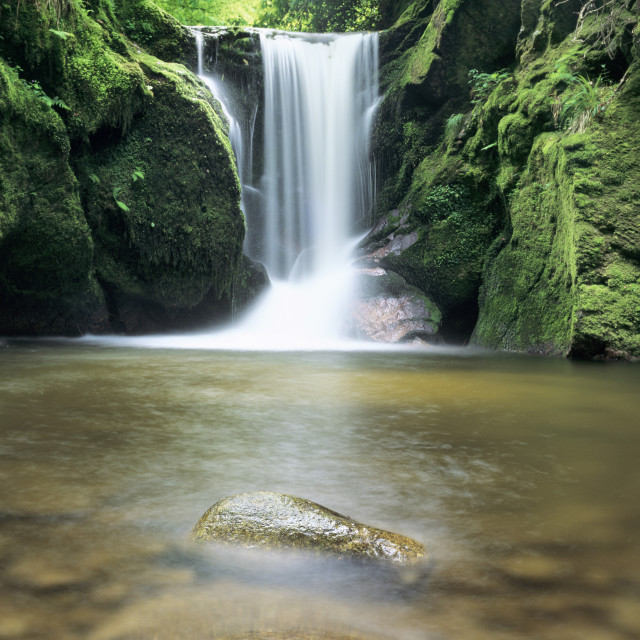 "Waterfall Geroldsau, near Baden Baden, Black Forest, Baden Wurttemberg,..." stock image