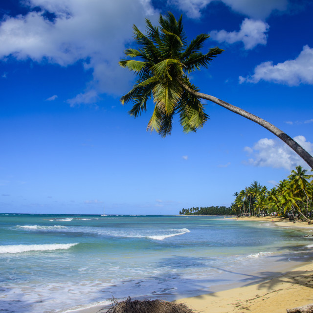 Casa Blanca Beach Las Terrenas Dominican Repub