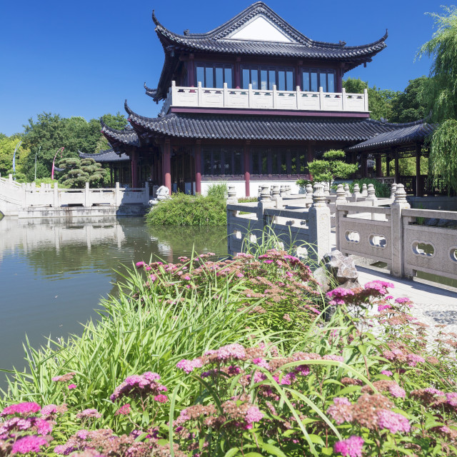 Tea house, Chinese Garden, Luisenpark municipal park, Mannheim, Baden... License, download or