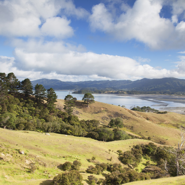 View of Manaia Harbour and farmland, Coromandel Peninsula, Waikato