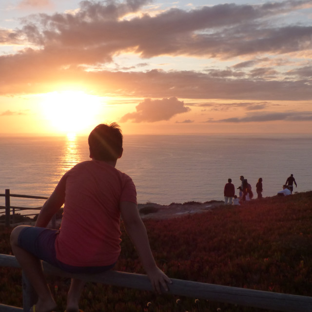 "watching the sunset boy rear view" stock image