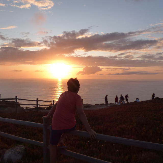 "Watching the sunset boy rear view" stock image