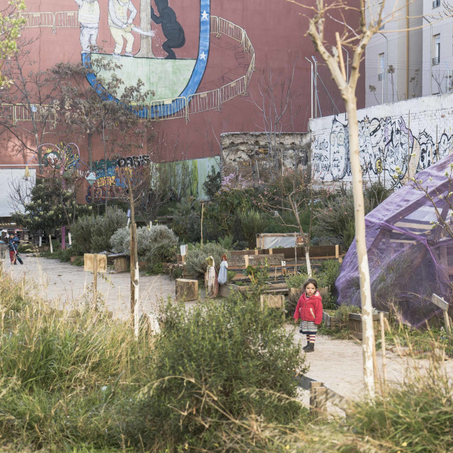 "neighbourhood garden" stock image