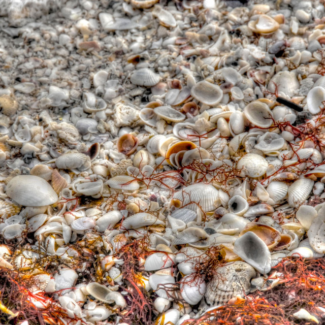 "Blanket of shells" stock image