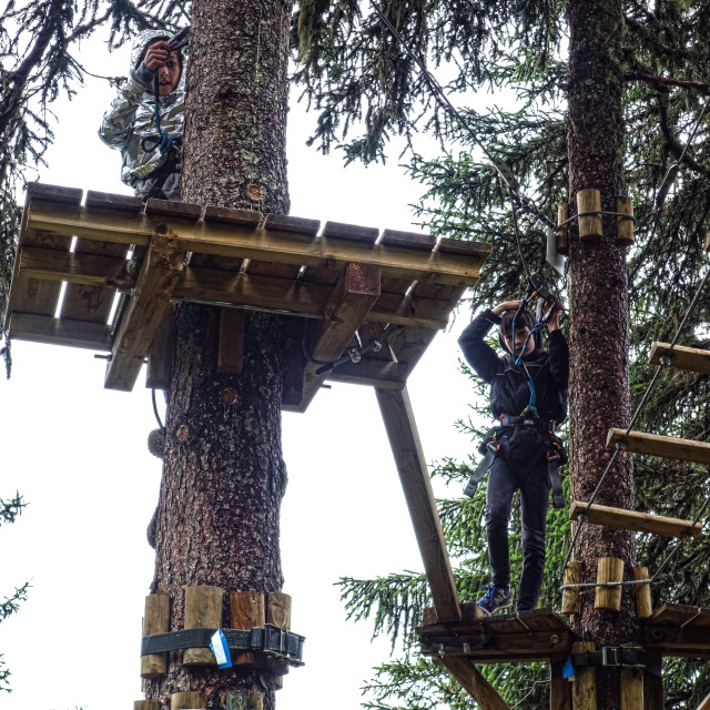 "Platforms in the trees" stock image