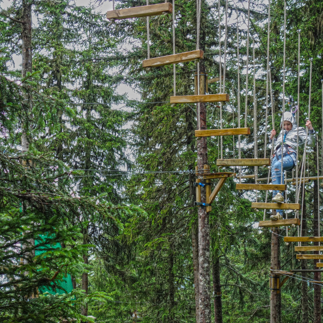 "Walking through the canopy" stock image