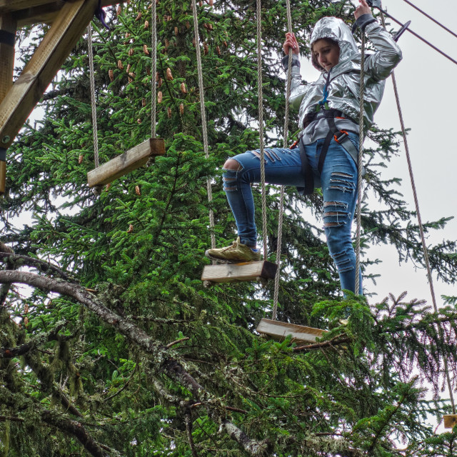 "Striding through the trees" stock image