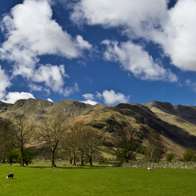 "Crinkle Crags Panorama" stock image