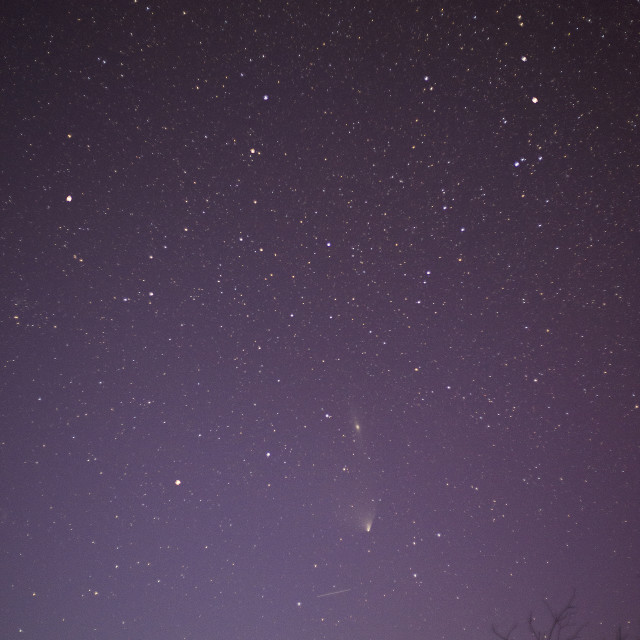 "Comet Pan-STARRS" stock image