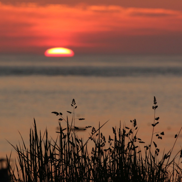 "Sunset over the sea" stock image