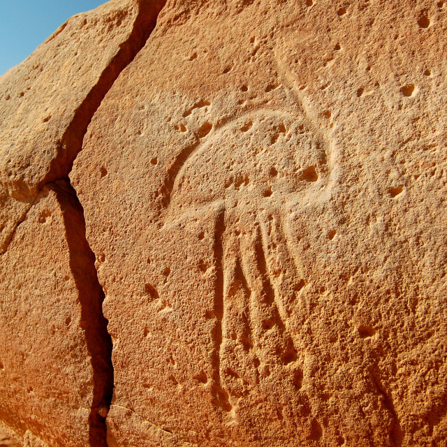 "Ancient Ostrich" stock image