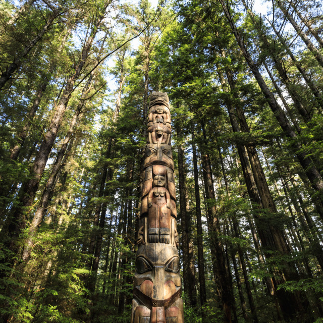 "Lakich'inei Pole, Tlingit totem pole, lit by sun in rainforest, Sitka..." stock image