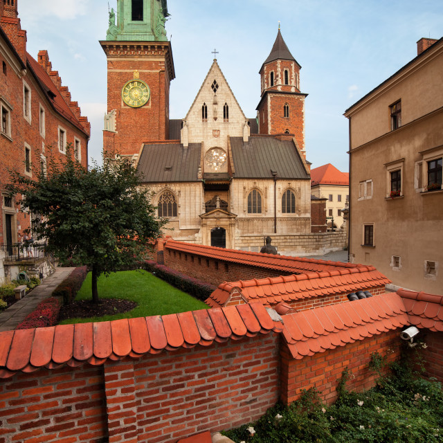 "Wawel Cathedral in Krakow" stock image