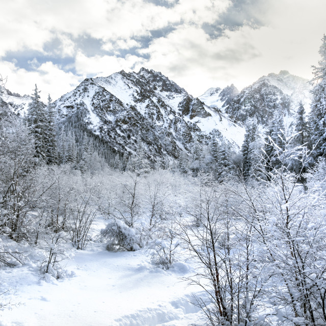 "Ala Archa National Park, Kyrgyzstan" stock image